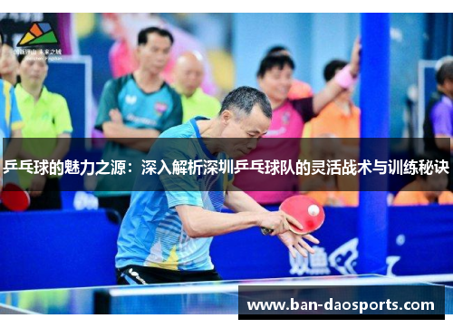 乒乓球的魅力之源：深入解析深圳乒乓球队的灵活战术与训练秘诀