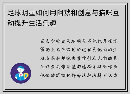足球明星如何用幽默和创意与猫咪互动提升生活乐趣